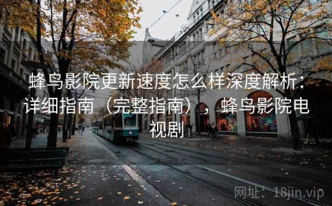 蜂鸟影院更新速度怎么样深度解析：详细指南（完整指南），蜂鸟影院电视剧