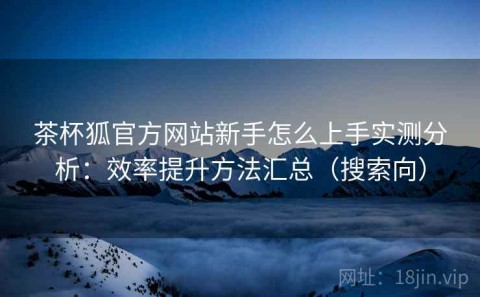 茶杯狐官方网站新手怎么上手实测分析：效率提升方法汇总（搜索向）