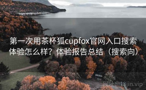 第一次用茶杯狐cupfox官网入口搜索体验怎么样？体验报告总结（搜索向）