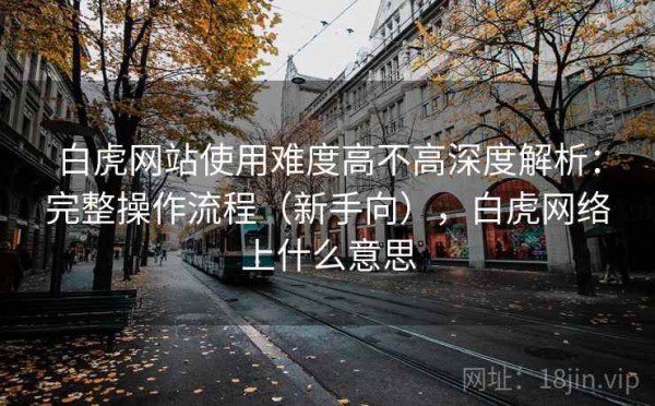 白虎网站使用难度高不高深度解析：完整操作流程（新手向），白虎网络上什么意思