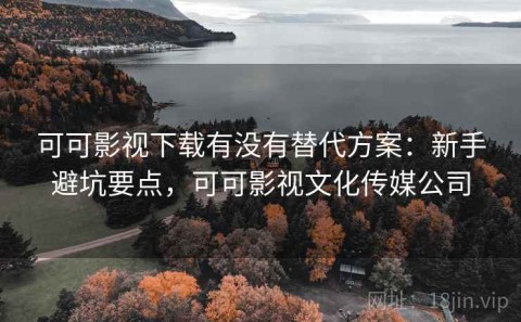 可可影视下载有没有替代方案：新手避坑要点，可可影视文化传媒公司