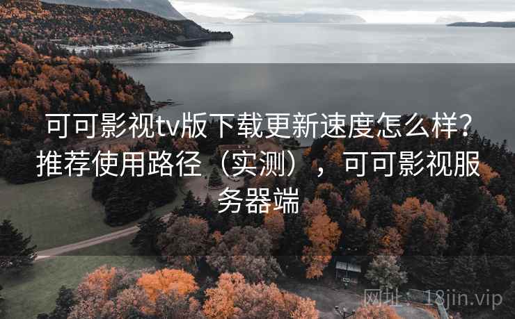 可可影视tv版下载更新速度怎么样？推荐使用路径（实测），可可影视服务器端
