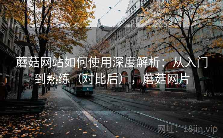 蘑菇网站如何使用深度解析：从入门到熟练（对比后），蘑菇网片